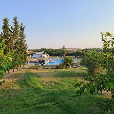 Janis Seaview Villa Nea Fokea Ngoại thất bức ảnh