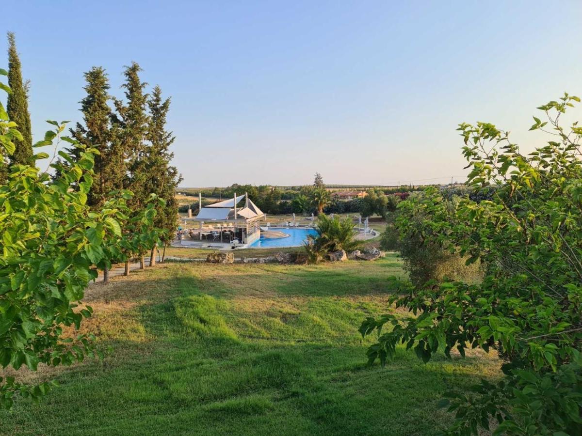 Janis Seaview Villa Nea Fokea Ngoại thất bức ảnh